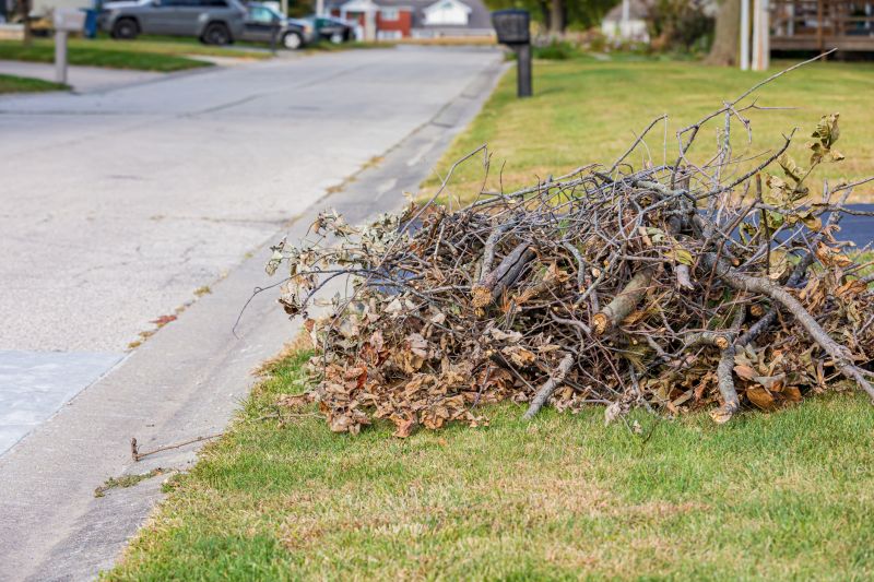 Lawn Debris Clearing