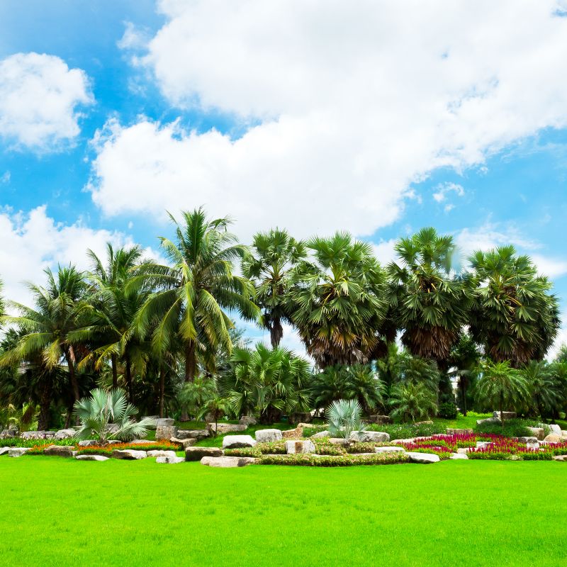 Products For Tropical Landscapings in use