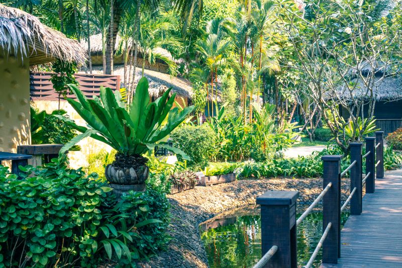 Tropical Landscape Planting