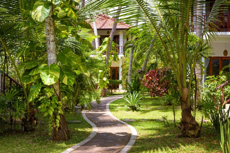 Many tropical plants are hardy and well-suited to warm, sunny climates, requiring less maintenance once established