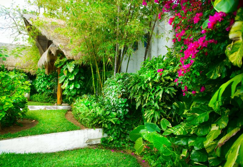 Tropical landscaping can help reduce air temperatures around your home by providing shade, cooling the surrounding environment